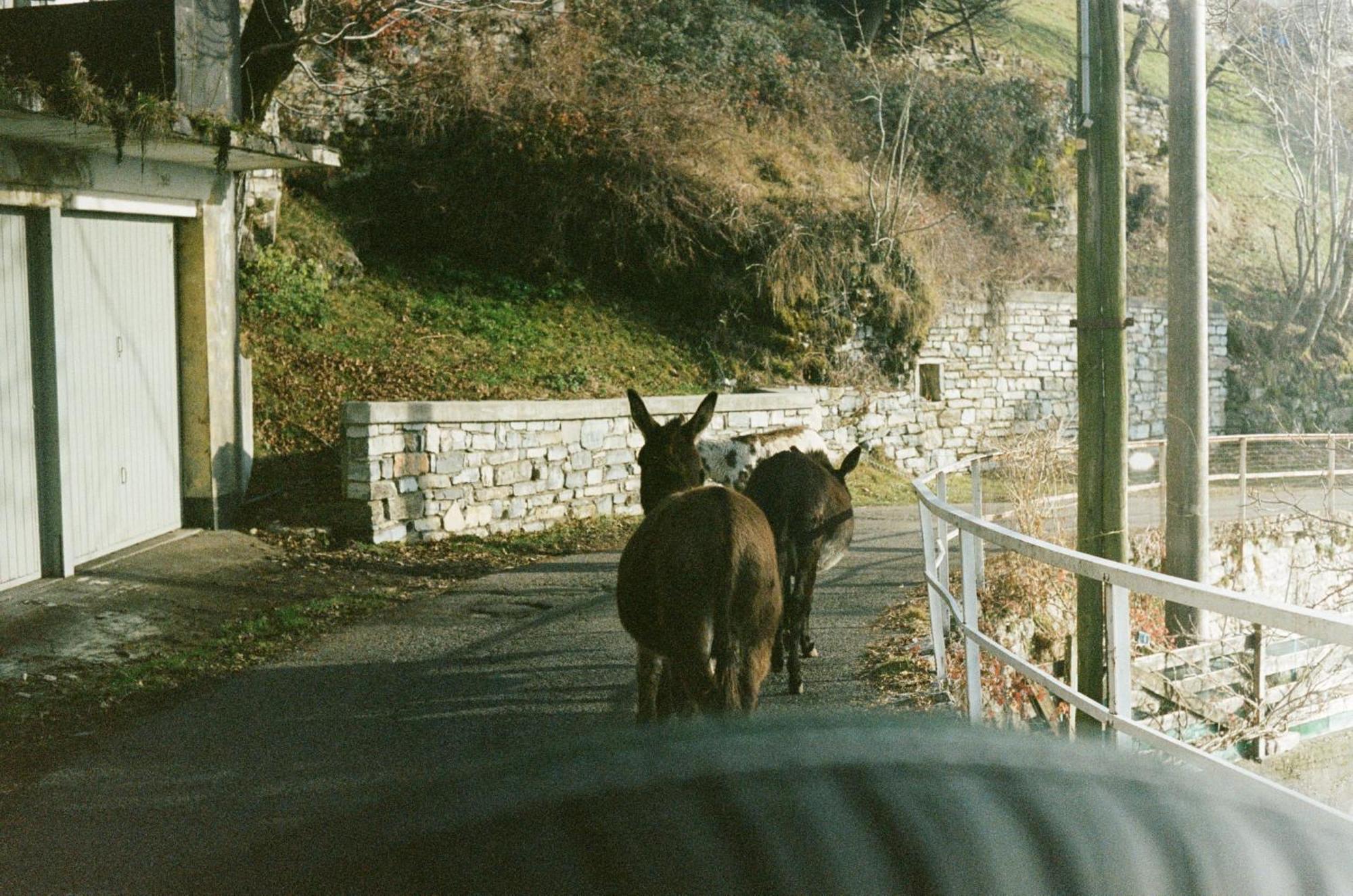 Vila Ca' Bossi Cernobbio Exteriér fotografie